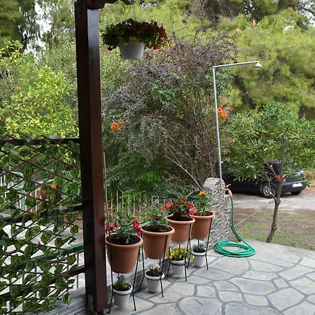 Holiday home Eden's Oasis Skala Fourkas