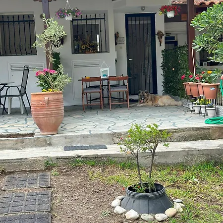 Eden's Oasis *