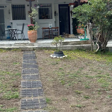 Case de vacanță Eden's Oasis